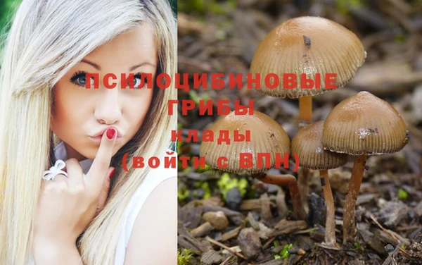 соль ск Абдулино